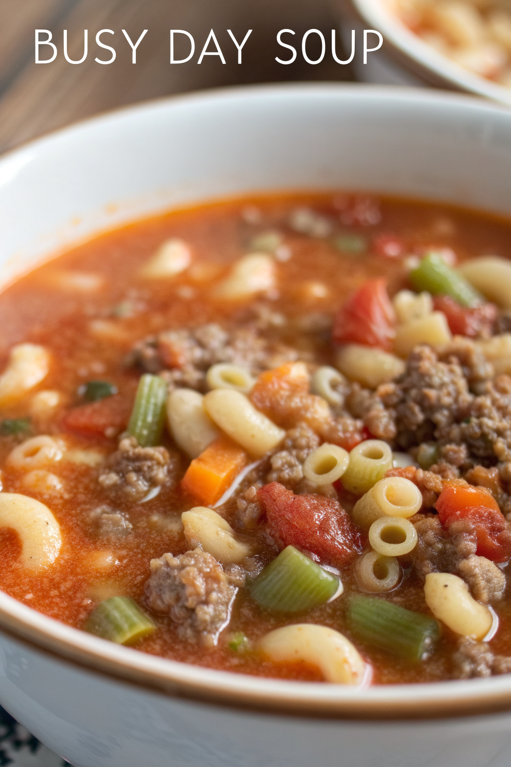 Busy Day Soup Recipe
