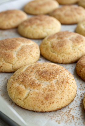 Pumpkin Snickerdoodles Recipe
